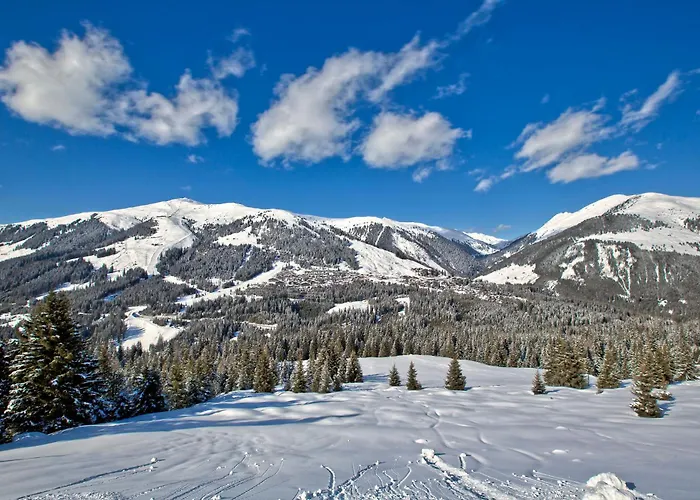 דירה Bacher Nr.2